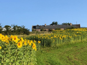 Garden Bank Cottage